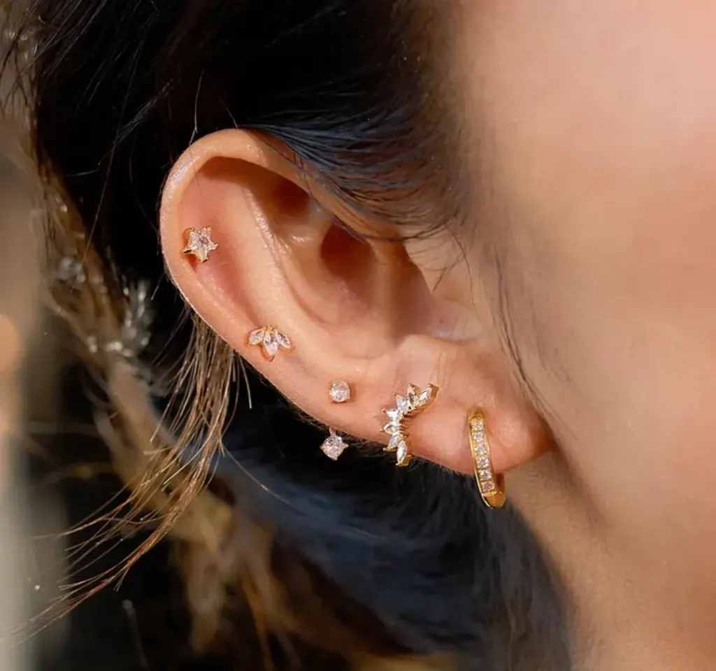 Set aretes Terra