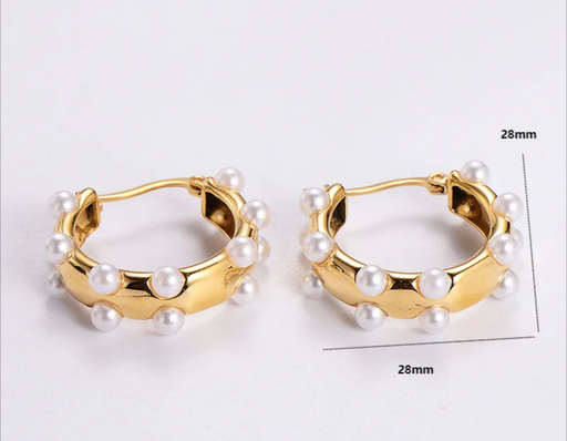 Aretes Fran